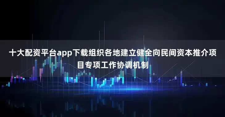 十大配资平台app下载组织各地建立健全向民间资本推介项目专项工作协调机制