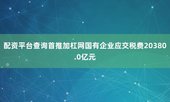 配资平台查询首推加杠网国有企业应交税费20380.0亿元
