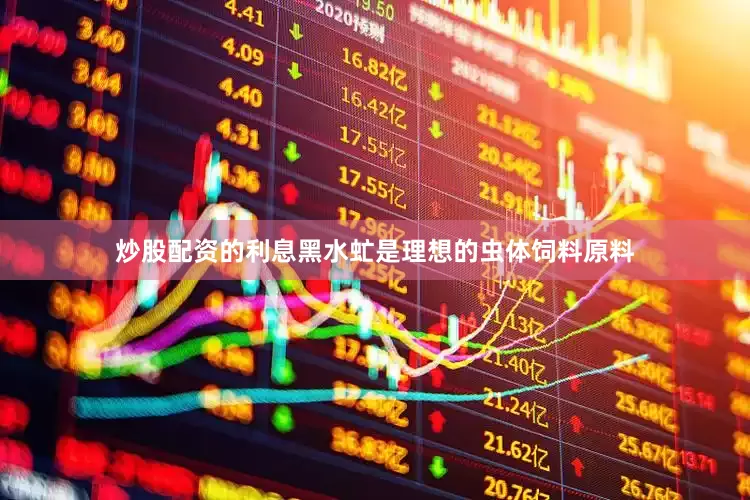 炒股配资的利息黑水虻是理想的虫体饲料原料