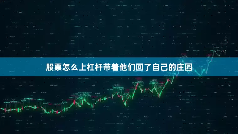 股票怎么上杠杆带着他们回了自己的庄园